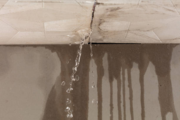 Professional Water Damage Inspection technician working in Linden, TX